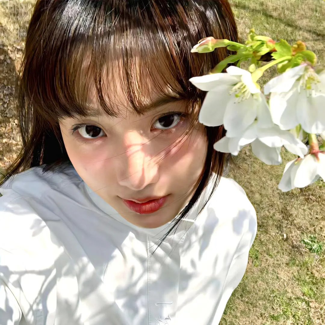 红楼梦第六部